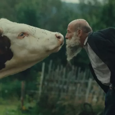 ArtDocFest/Riga: что смотреть на фестивале 2026 года, если о политике думать не хочется